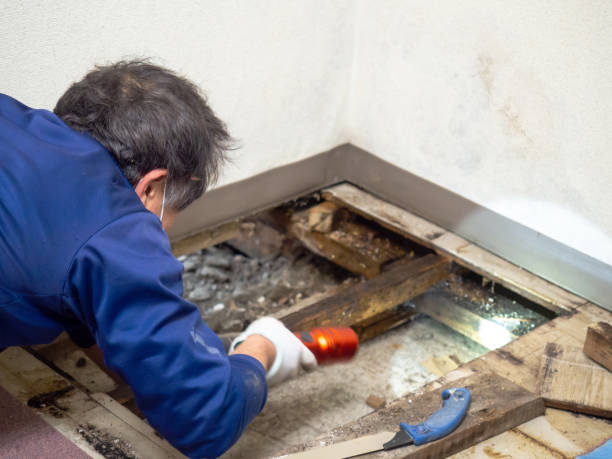 Water Damage Restoration in Oakland, SC