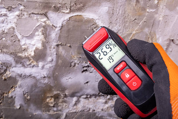 Best Water Damage Restoration  in Oakland, SC