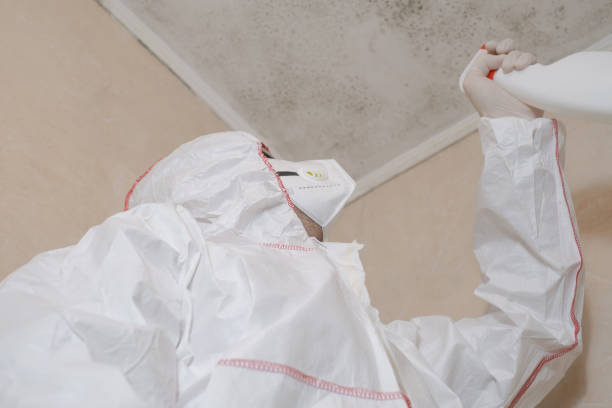Best Mold Damage Repair  in Oakland, SC