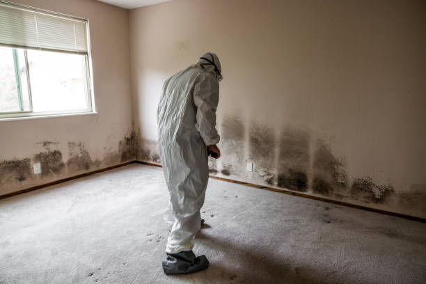 Best Certified Mold Removal  in Oakland, SC